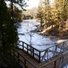 Kings canyon et Sequoia 07